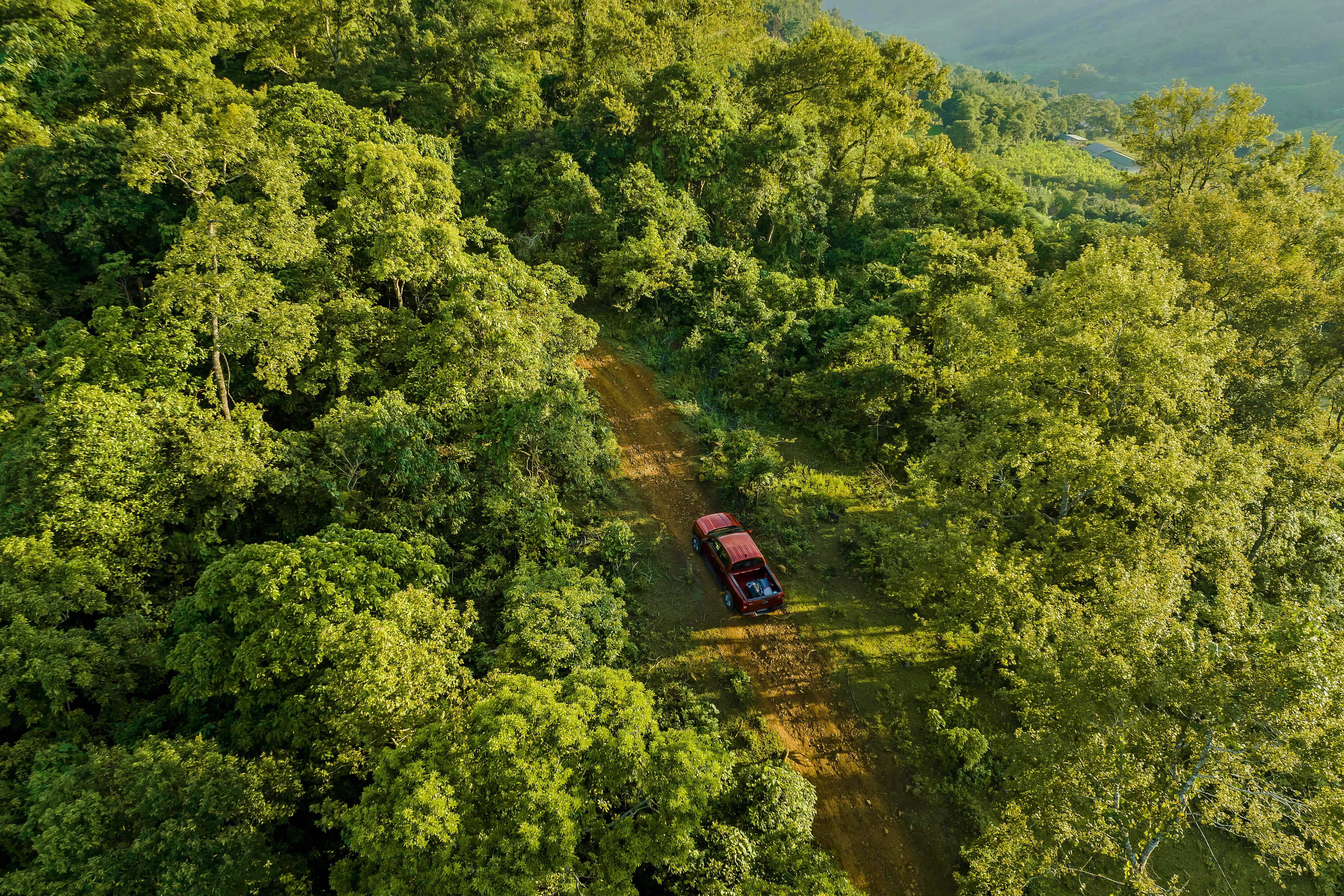 Ford Ranger 2023 Wildtrak